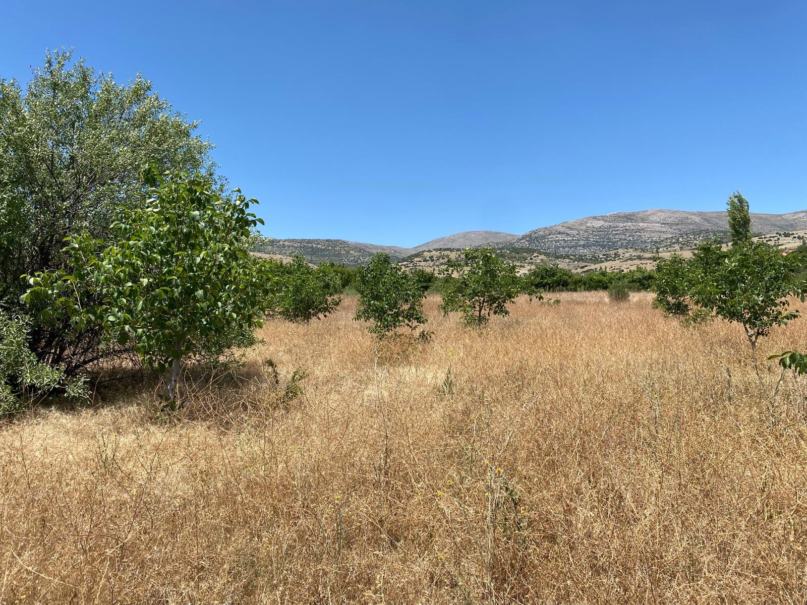 Isparta/Uluborlu Küçük Kabaca köyü Satılık Tarla