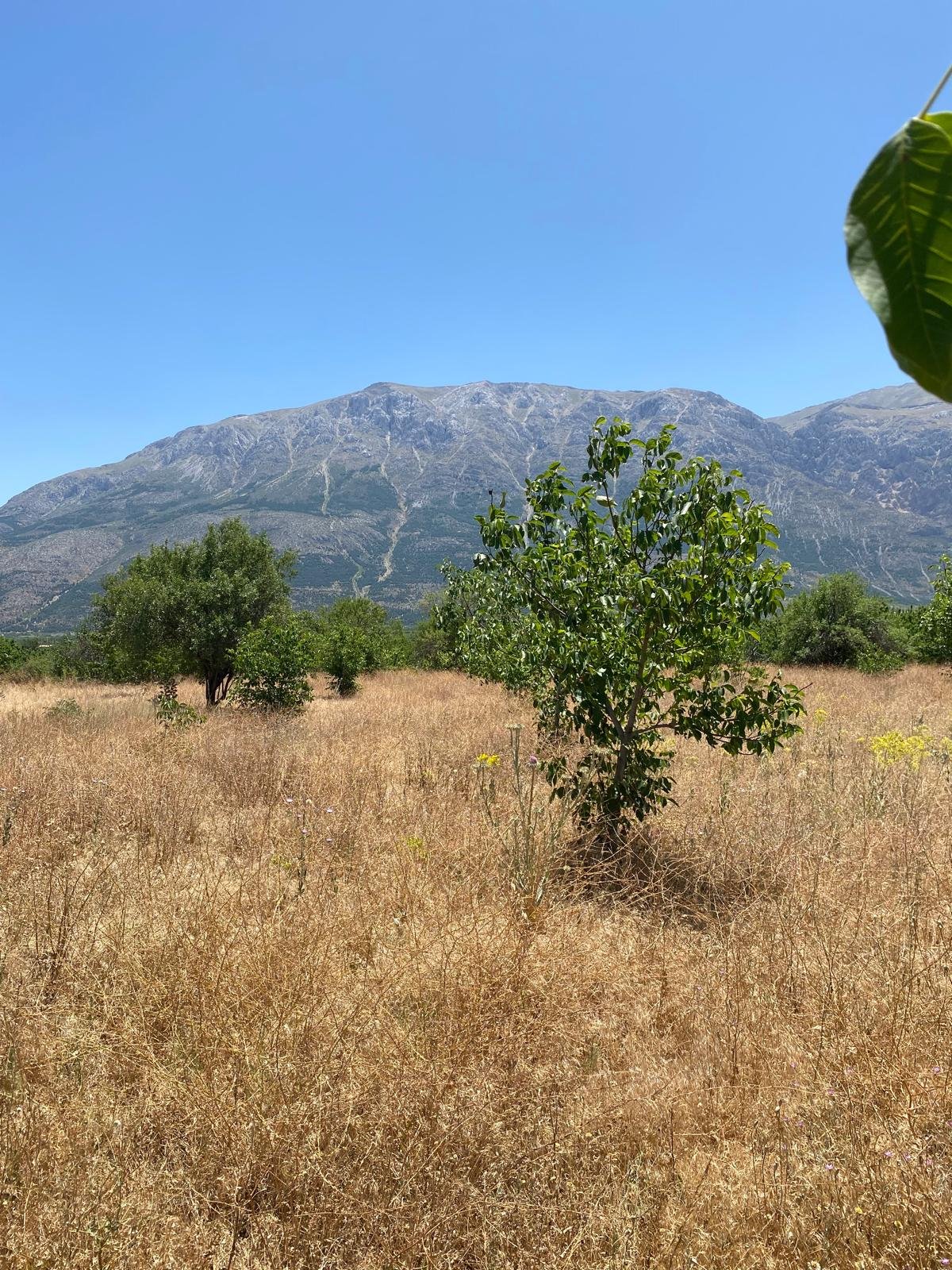 Isparta/Uluborlu Küçük Kabaca köyü Satılık Tarla