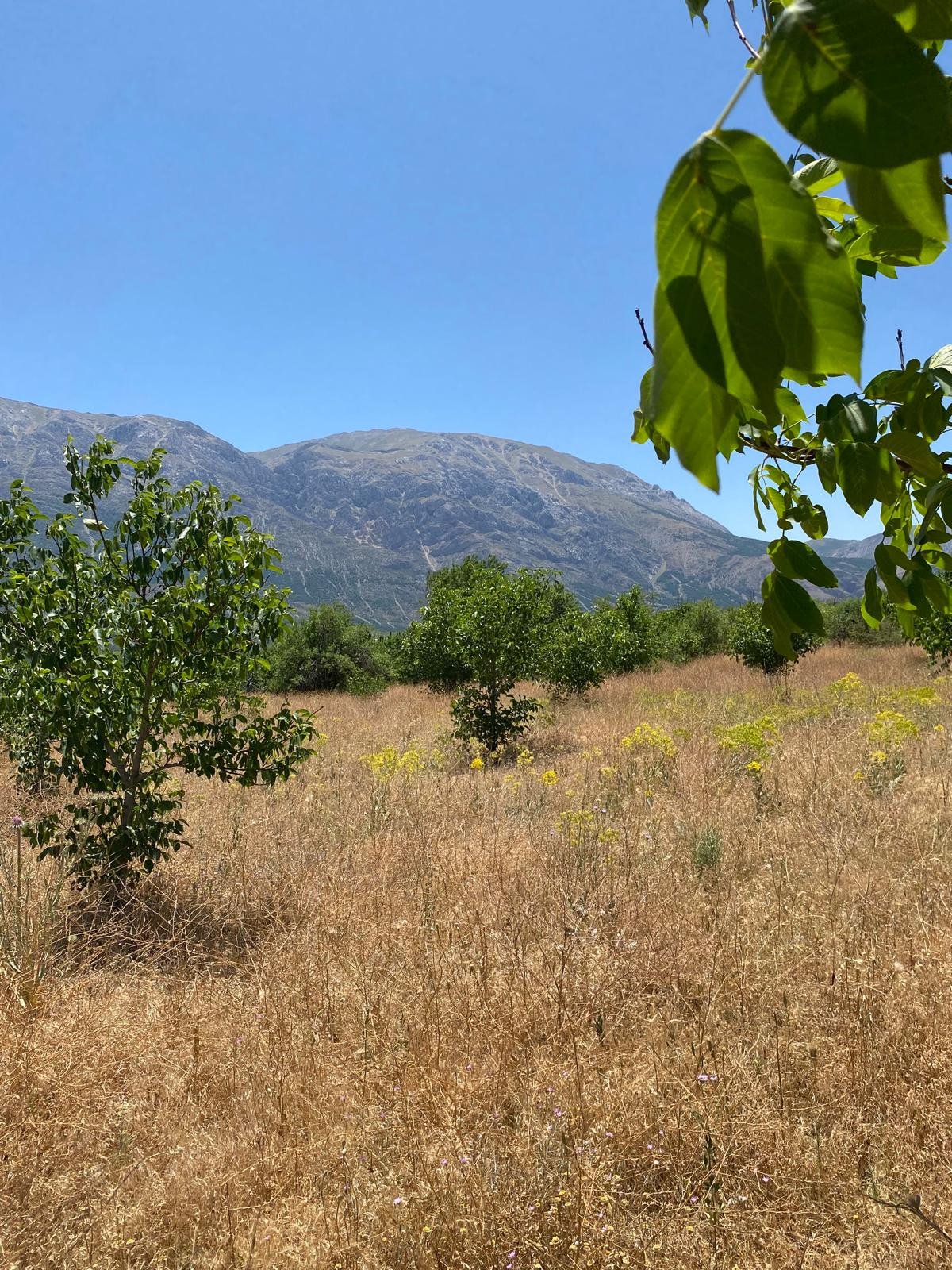 Isparta/Uluborlu Küçük Kabaca köyü Satılık Tarla
